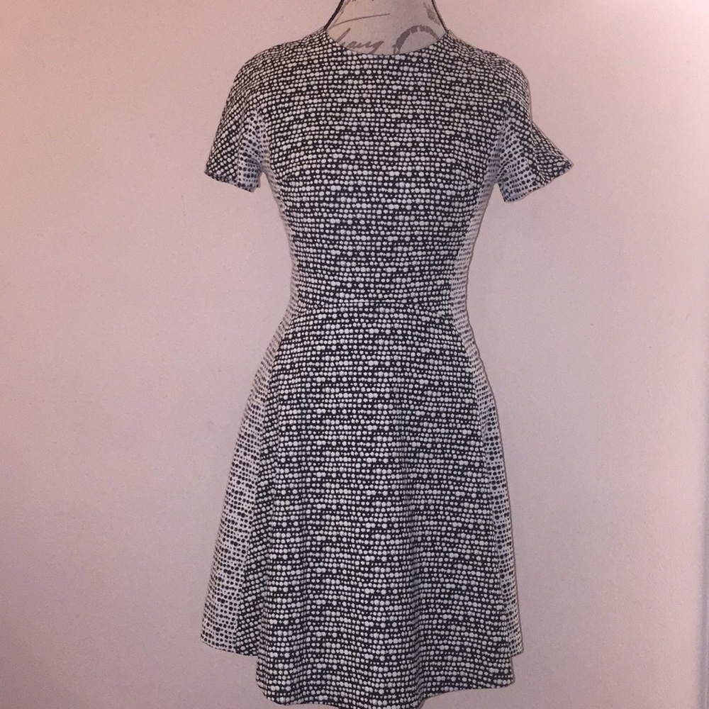 Banana Republic black and white dot A line dress